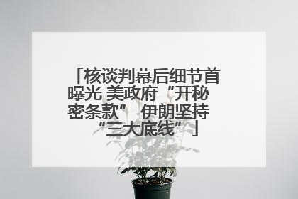 核谈判幕后细节首曝光 美政府“开秘密条款” 伊朗坚持“三大底线”