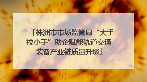 株洲市市场监管局“大手拉小手”助企赋能轨道交通装备产业链质量升级