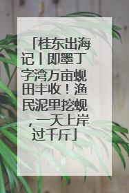 桂东出海记丨即墨丁字湾万亩蚬田丰收！渔民泥里挖蚬，一天上岸过千斤