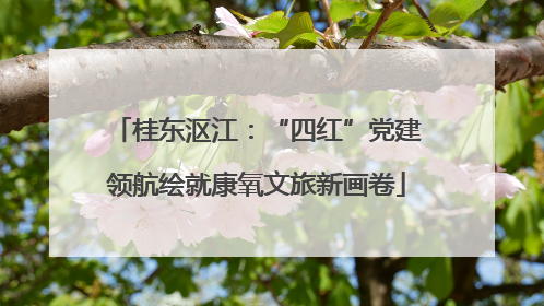 桂东沤江：“四红”党建领航绘就康氧文旅新画卷