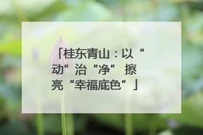 桂东青山：以“动”治“净” 擦亮“幸福底色”