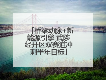 桥梁动脉+新能源引擎 武陟经开区双赛道冲刺半年目标