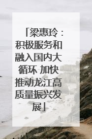 梁惠玲：积极服务和融入国内大循环 加快推动龙江高质量振兴发展
