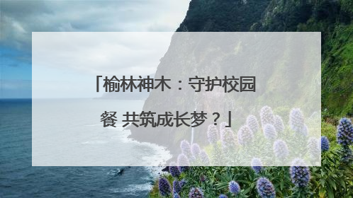 榆林神木：守护校园餐 共筑成长梦？