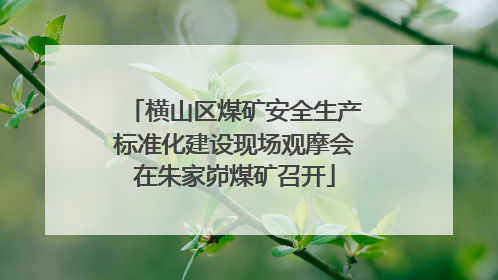 横山区煤矿安全生产标准化建设现场观摩会在朱家峁煤矿召开
