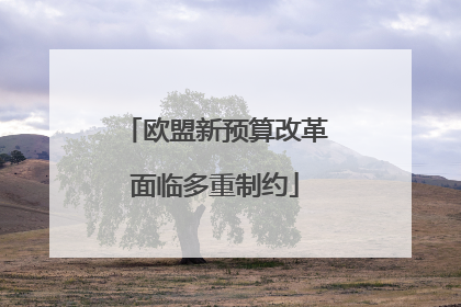 欧盟新预算改革面临多重制约