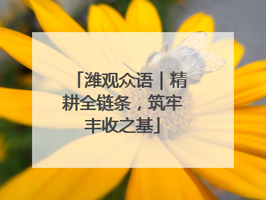 潍观众语｜精耕全链条，筑牢丰收之基