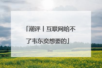 潮评丨互联网给不了韦东奕想要的