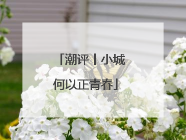 潮评丨小城何以正青春