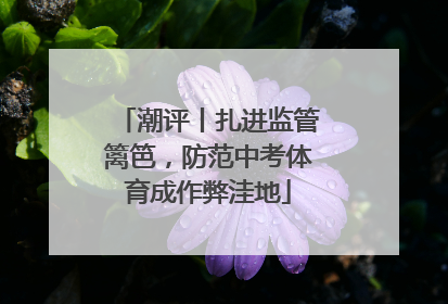 潮评丨扎进监管篱笆，防范中考体育成作弊洼地