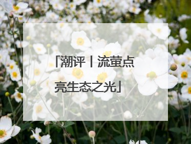 潮评丨流萤点亮生态之光