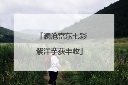 澜沧富东七彩紫洋芋获丰收