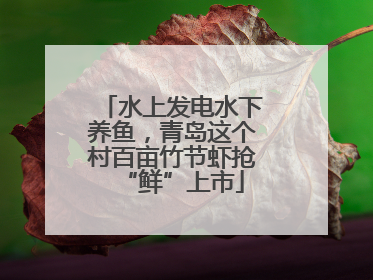 水上发电水下养鱼，青岛这个村百亩竹节虾抢“鲜”上市