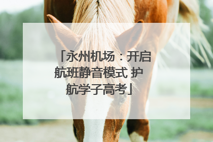 永州机场：开启航班静音模式 护航学子高考