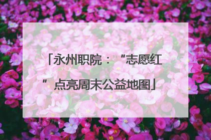 永州职院：“志愿红”点亮周末公益地图