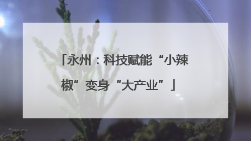 永州：科技赋能“小辣椒”变身“大产业”