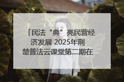 民法“典”亮民营经济发展 2025年荆楚普法云课堂第二期在武汉客厅开讲