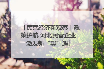 民营经济新观察｜政策护航 河北民营企业激发新“冀”遇