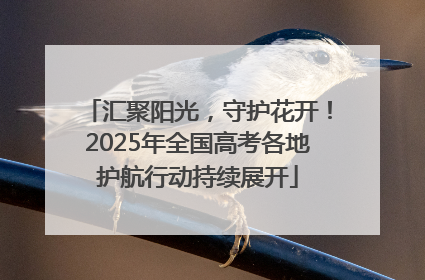 汇聚阳光，守护花开！2025年全国高考各地护航行动持续展开
