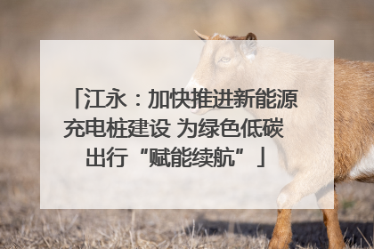 江永：加快推进新能源充电桩建设 为绿色低碳出行“赋能续航”