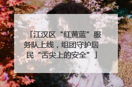 江汉区“红黄蓝”服务队上线，组团守护居民“舌尖上的安全”