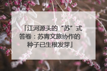 江河源头的“苏”式答卷：苏青文旅协作的种子已生根发芽