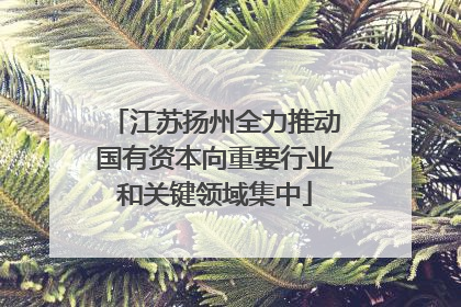 江苏扬州全力推动国有资本向重要行业和关键领域集中