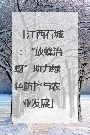 江西石城：“放蜂治蚜”助力绿色防控与农业发展