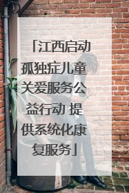 江西启动孤独症儿童关爱服务公益行动 提供系统化康复服务