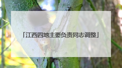 江西四地主要负责同志调整