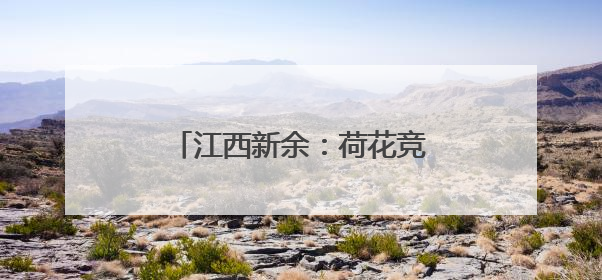 江西新余：荷花竞绽放 夏日诗意浓