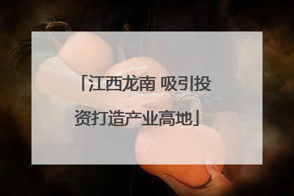 江西龙南 吸引投资打造产业高地