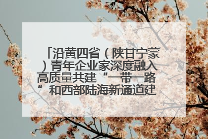 沿黄四省（陕甘宁蒙）青年企业家深度融入高质量共建“一带一路”和西部陆海新通道建设战略合作交流会在甘肃兰州召开