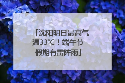 沈阳明日最高气温33℃！端午节假期有雷阵雨