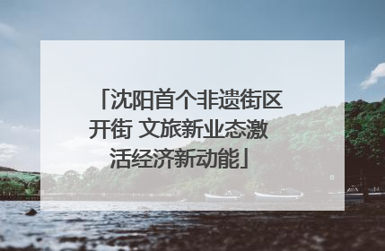 沈阳首个非遗街区开街 文旅新业态激活经济新动能