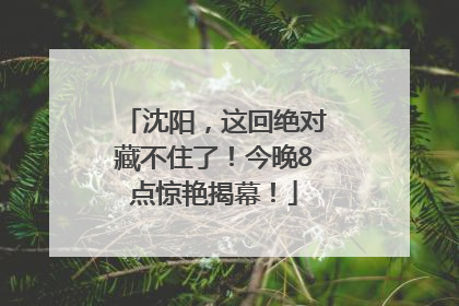 沈阳，这回绝对藏不住了！今晚8点惊艳揭幕！