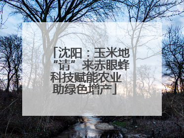 沈阳：玉米地“请”来赤眼蜂 科技赋能农业助绿色增产