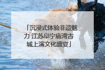 沉浸式体验非遗魅力 江苏阜宁庙湾古城上演文化盛宴