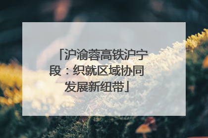 沪渝蓉高铁沪宁段：织就区域协同发展新纽带