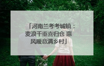河南兰考考城镇：麦浪千重喜归仓 惠风暖意满乡村