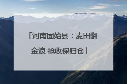 河南固始县：麦田翻金浪 抢收保归仓