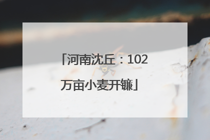 河南沈丘：102 万亩小麦开镰