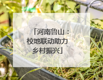 河南鲁山：校地联动助力乡村振兴