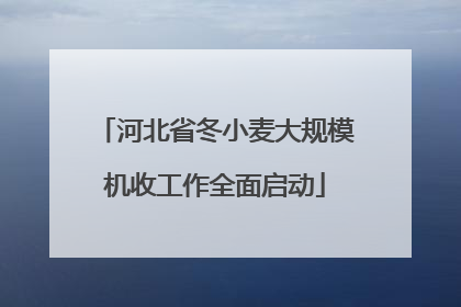 河北省冬小麦大规模机收工作全面启动