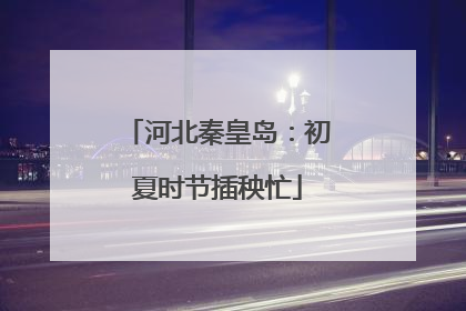 河北秦皇岛：初夏时节插秧忙