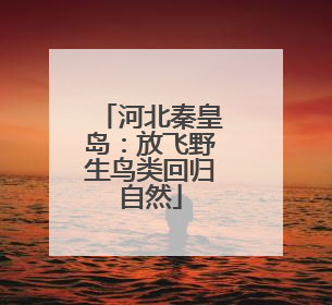 河北秦皇岛：放飞野生鸟类回归自然
