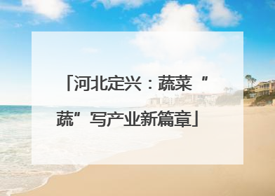河北定兴：蔬菜“蔬”写产业新篇章