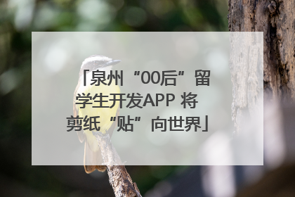 泉州“00后”留学生开发APP 将剪纸“贴”向世界