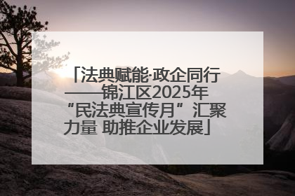 法典赋能·政企同行——锦江区2025年“民法典宣传月”汇聚力量 助推企业发展