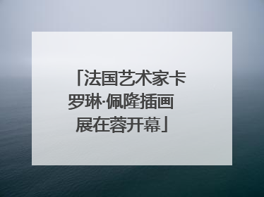 法国艺术家卡罗琳·佩隆插画展在蓉开幕